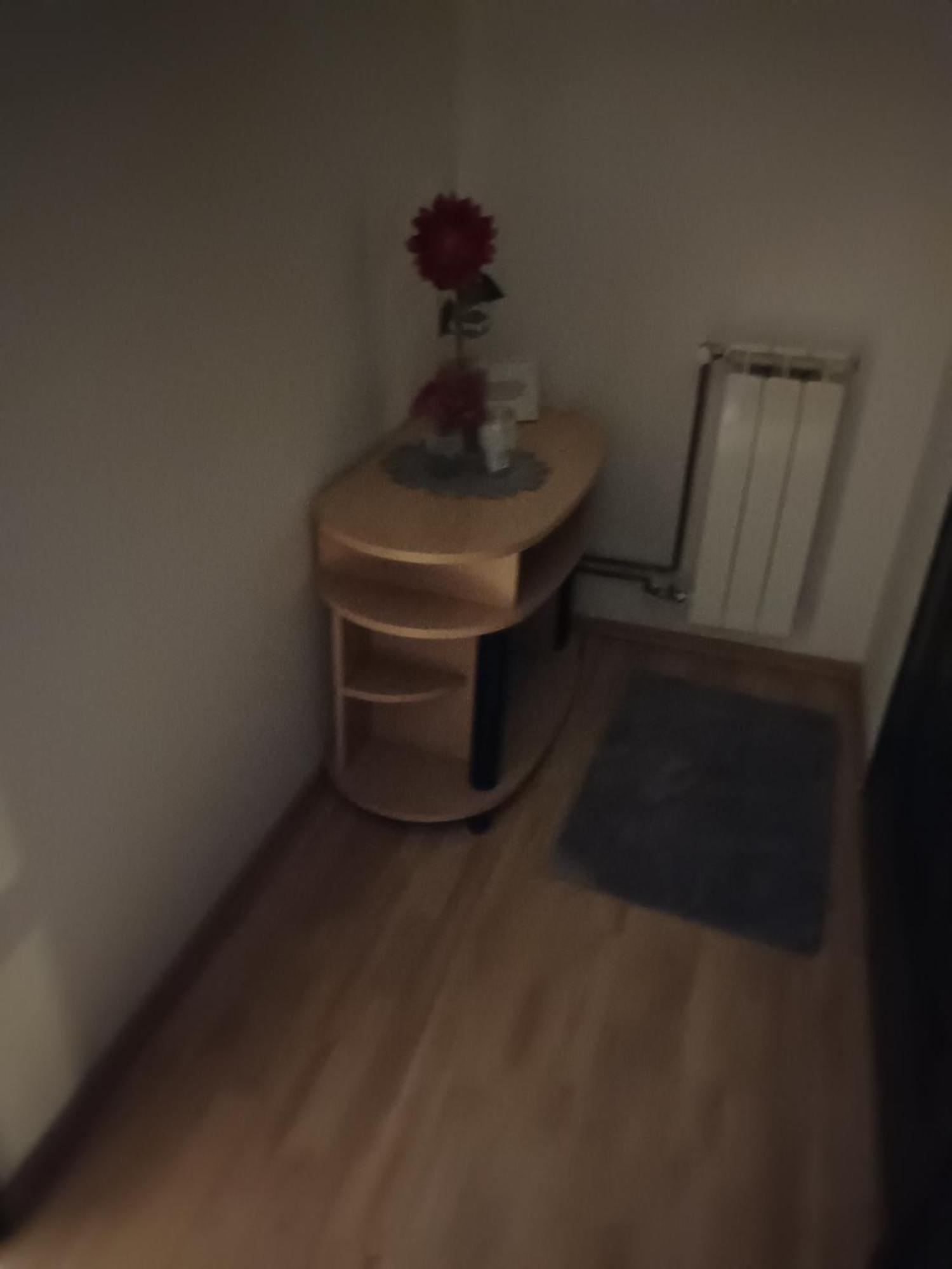 אוגולין Studio Apartman Salopek מראה חיצוני תמונה